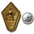 Знак (ромб) 80 лет вооруженным силам, 1918-1998