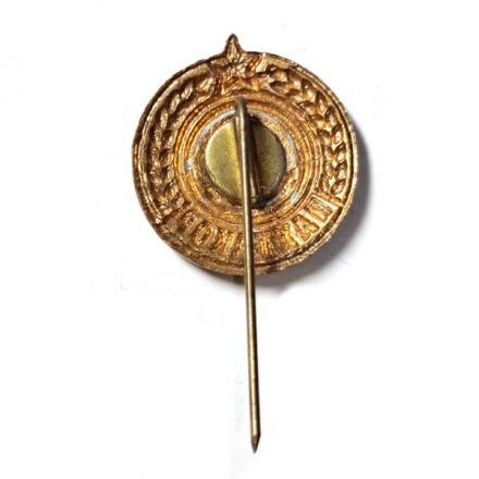 Значок-иголка Футбольный клуб &quot;Пахтакор&quot; Ташкент