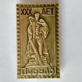 Значок. Воин-Освободитель Памятник 1945-1975 30 лет победы
