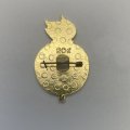 Значок Международный день студентов 