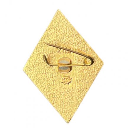 Значок Средняя школа. 10 класс