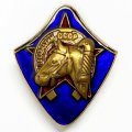 Знак ОСОАВИАХИМ всадник (Конь) копия