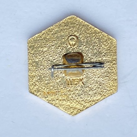 Значок. VIII Зимняя спартакиада профсоюзов. Санный спорт