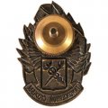 Знак &quot;Ветеран Таможенной службы&quot;