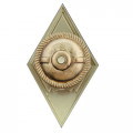 Знак (ромб) об окончании Военной академии РХБЗ  им. С.К. Тимошенко (белый), с удостоверением