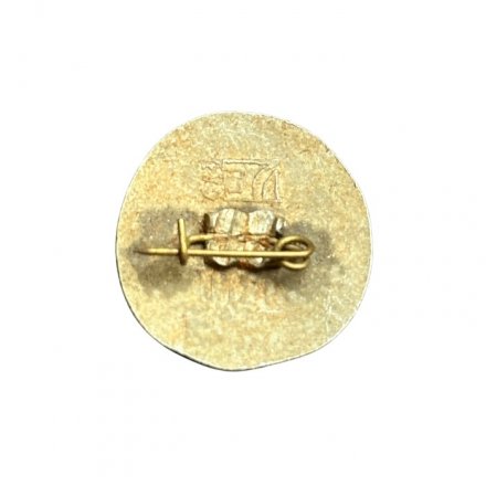 Значок Иван Богун