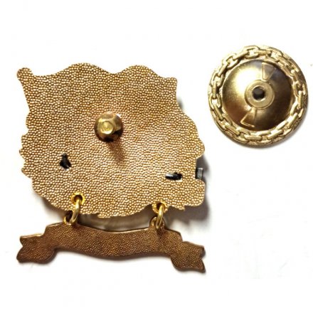 Знак За дальний поход. Корабль "Виктор Леонов"