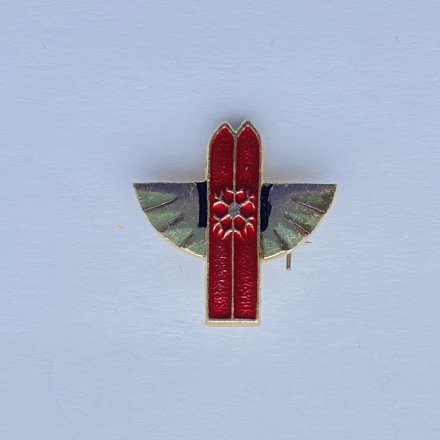 Значок. Лыжи. Горные лыжи