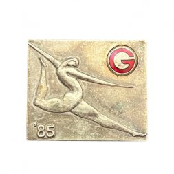 Значок Япония. Спорт в Гифу, 1985 год