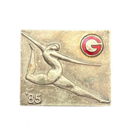 Значок Япония. Спорт в Гифу, 1985 год