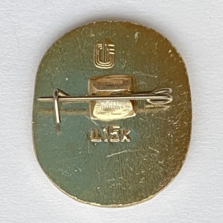 Значок. Лыжи-трамплин. Виды спорта