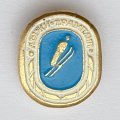 Значок. Лыжи-трамплин. Виды спорта