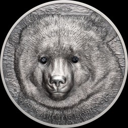 Монголия 500 тугриков 2019 год - Монгольский медведь Гоби