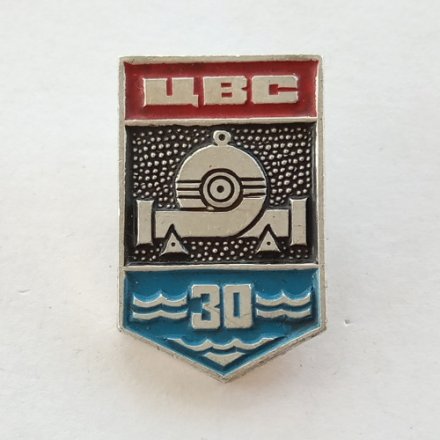 Значок 30 лет ЦВС