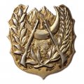 Знак (кокарда) Алжирская национальная народная армия
