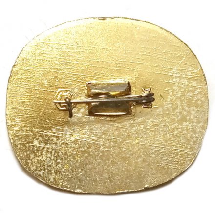 Значок Город Пушкин. Музей Лицей