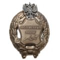 Знак заслуженный эколог. РФ (копия)