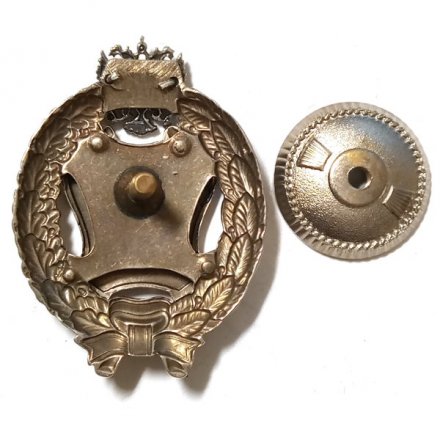 Знак заслуженный эколог. РФ (копия)