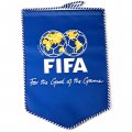 Вымпел FIFA. For the good of the game