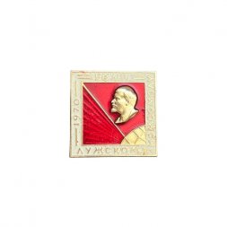 Значок 50 лет Лужскому комсомолу (белая рамка)