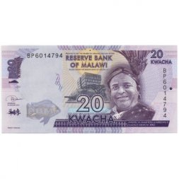 Малави 20 квача 2019 год - Король М'Мбелва II. Цихлида Ливингстона. Колледж UNC