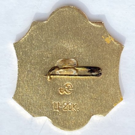 Значок. Академии наук 250 лет