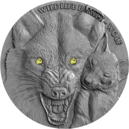 Ниуэ 1 доллар 2017 год - Семья дикой природы. Волк