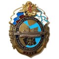 Знак За борьбу с пиратами Сомали в районе Африканского рога. 2008. СКР &quot;Неустрашимый&quot; БФ