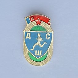 Значок. СССР ДСШ