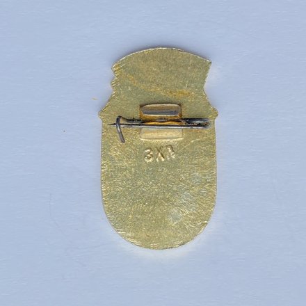 Значок. СССР ДСШ