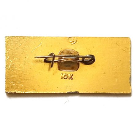 Значок Великие Луки. Псковская область. Герб. Серия "Гербы на прямоугольнике"