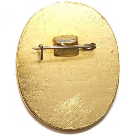 Значок Город Пушкин. Чесменская колонна