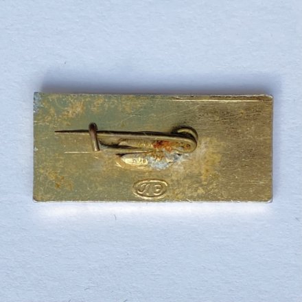 Значок. Летняя спартакиада. ДСО Спартак