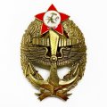 Знак Командир морской авиации (копия)