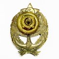 Знак Командир морской авиации (копия)
