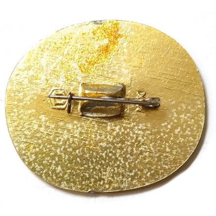 Значок Город Пушкин. Кавалерский домик