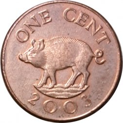 Бермудские острова 1 цент 2003 год