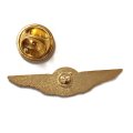Знак ПЛС РФ (Профсоюз лётного состава)