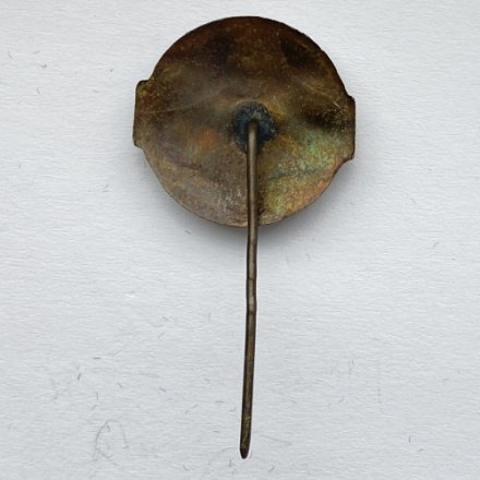 Значок. Футбол. ФК Динамо Минск (игла)