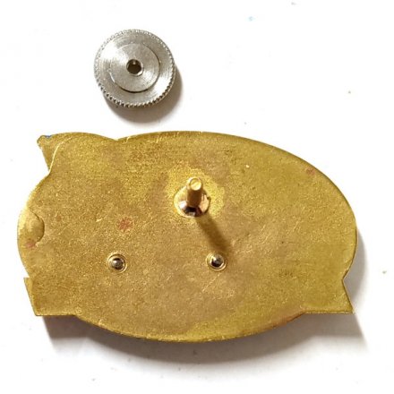 Знак ПСКР &quot;Сарыч&quot; 2020