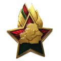 Знак Пионер Белоруссии