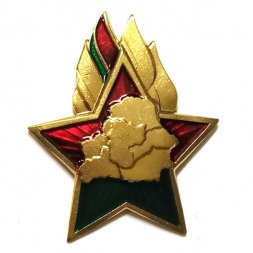 Знак Пионер Белоруссии