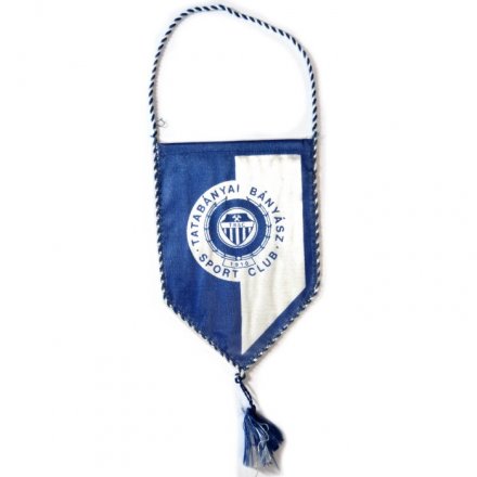 Вымпел Tatabanyai Banyasz. Sport club. Футбол