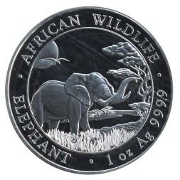 Монета Сомали 100 шиллингов 2019 год - Африканский слон