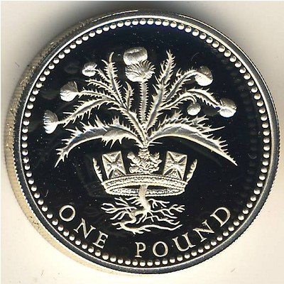 1 фунт 1989. Монеты уэльса. Монета с павлином. Британские фунты герб. 1 фунт серебра.