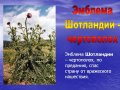 Великобритания 1 фунт 1984 год - Чертополох-эмблема Шотландии (серебро)