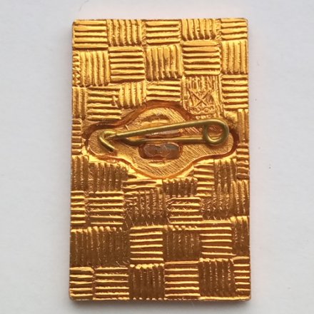 Значок &quot;50 лет Ленинградской южной водопроводной станции&quot;