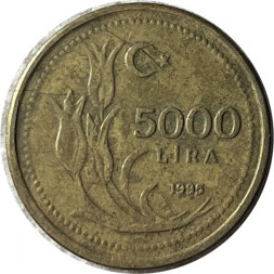 Турция 5000 лир 1995 год