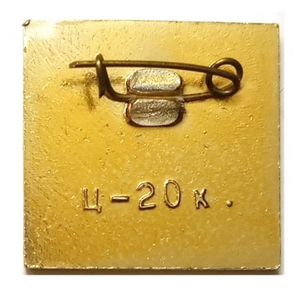 Значок Великие Луки. Турбаза