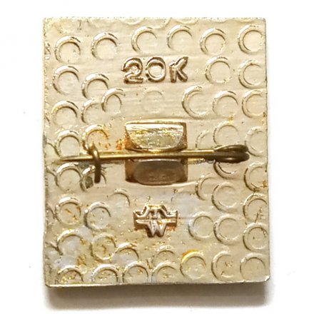 Значок Таджикская ССР